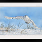 "Snowy Owl Swoop" watercolor giclee reprod. ltd. ed. s/n print