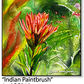 ASC046 "Indian Paintbrush " ceramic coaster
