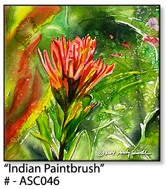 ASC046 "Indian Paintbrush " ceramic coaster