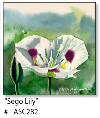 ASC282 "Sego Lilly" ceramic coaster