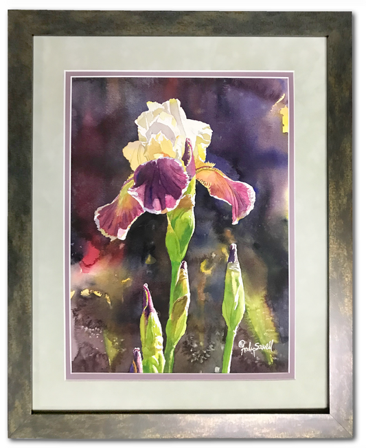 Iris Light Art Print - 12"x16" a signed edition giclee art print  from an original watercolor of Iris