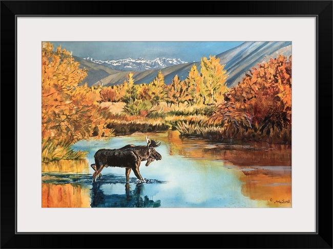 "Moose in the Gold" - 54.5"x36" Original Oil on Canvas or Giclee Print