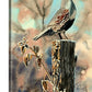 "Quail Morning Call"  A ltd. edition s/n Giclee watercolor print of California quail art - by Andy Sewell