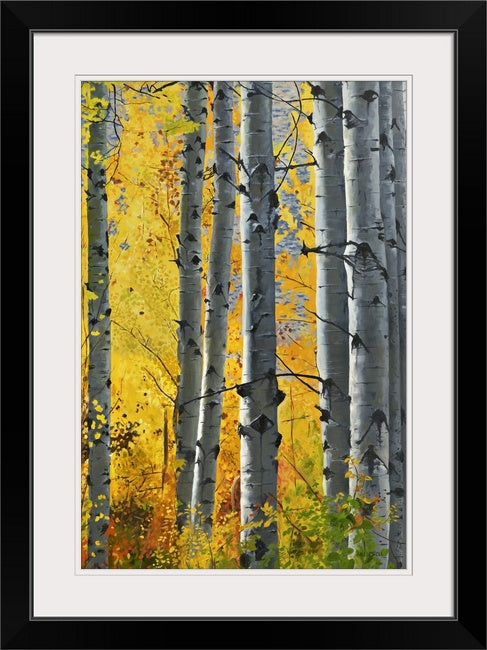 "October Gold" - Canvas Giclée art print of oil painting of Yellow Aspen trees in the fall