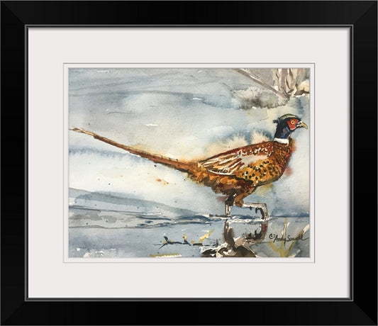 "Pheasant Splashes" - A signed edition Giclee watercolor print of Ringneck Pheasant