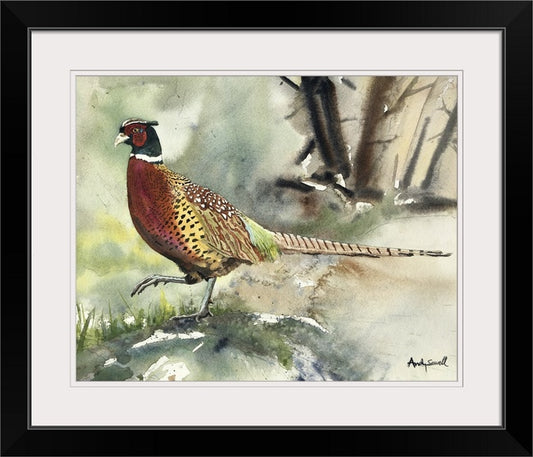 "Pheasant Strut" - A signed edition Giclee watercolor print of Ringneck Pheasant