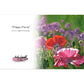 "Poppy Party" Pack of 10 Folded Cards (standard envelopes)