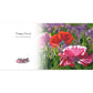 "Poppy Party" Pack of 10 Folded Cards (standard envelopes)