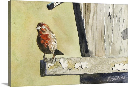 Little Red Finch - 8" x 12" A giclee reprod. by Andy Sewell