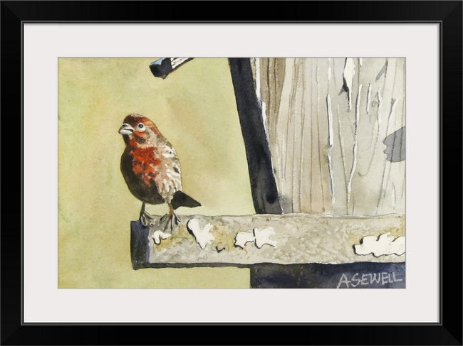 Little Red Finch - 8" x 12" A giclee reprod. by Andy Sewell