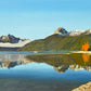 "Redfish Reflections” -  - 72"x30" - Canvas or art paper Giclée prints from oil painting.