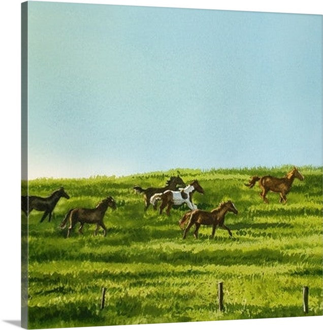 "Run in the Sun" - Original watercolor or Giclée art print of horses on the run.