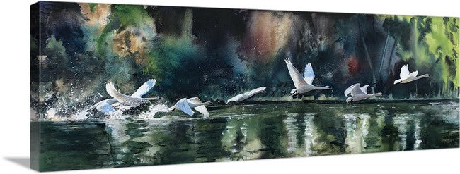 "Seven Swans" - 70x26 Canvas or Paper Giclée art print of Sevens Swans in flight.