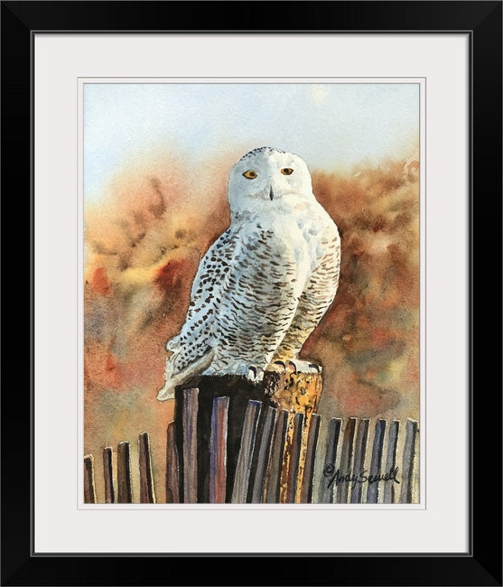 "The Snowy Owl" watercolor giclee reprod. signed ed. print