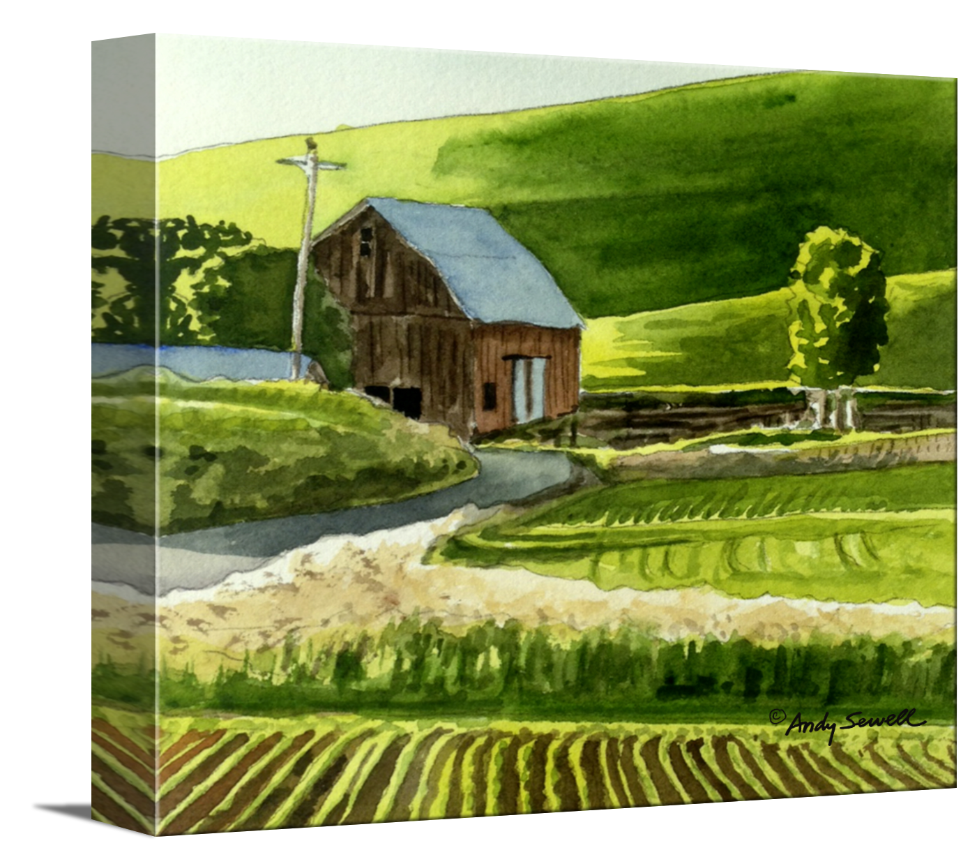 "Spring Country Lines " - 6"x6" Original watercolor or signed edition giclee art print from an original watercolor