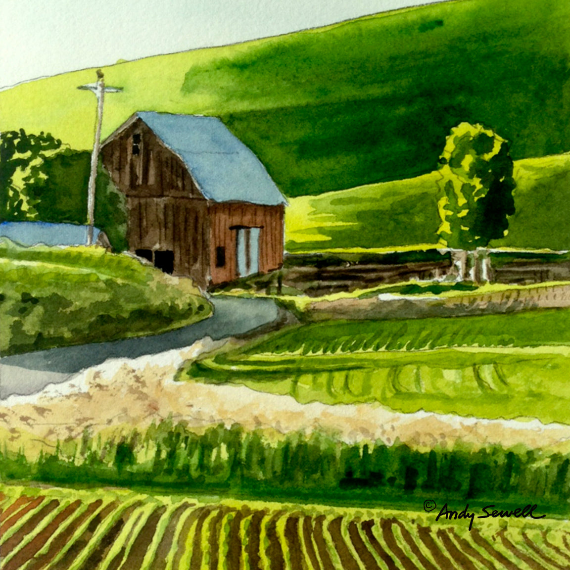 "Spring Country Lines " - 6"x6" Original watercolor or signed edition giclee art print from an original watercolor