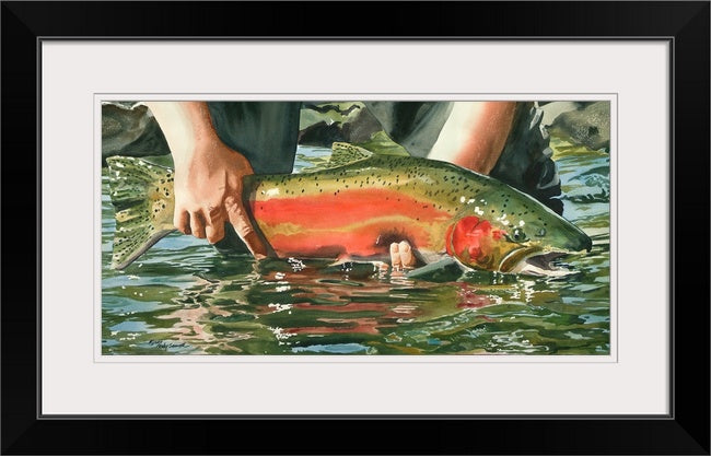 "Colors of the River" (Steelhead) - a ltd. edition s/n giclee art print from an original watercolor of the fabulous Steelhead (see video below)
