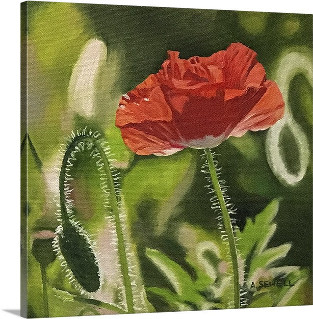 "Poppy Triplets - Red" -  10"x10" Original oil painting or signed Giclee art print.