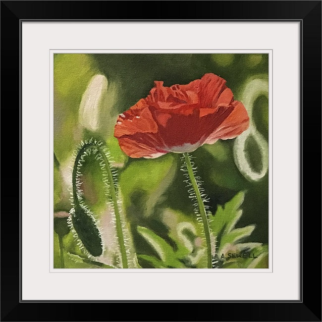 "Poppy Triplets - Red" -  10"x10" Original oil painting or signed Giclee art print.