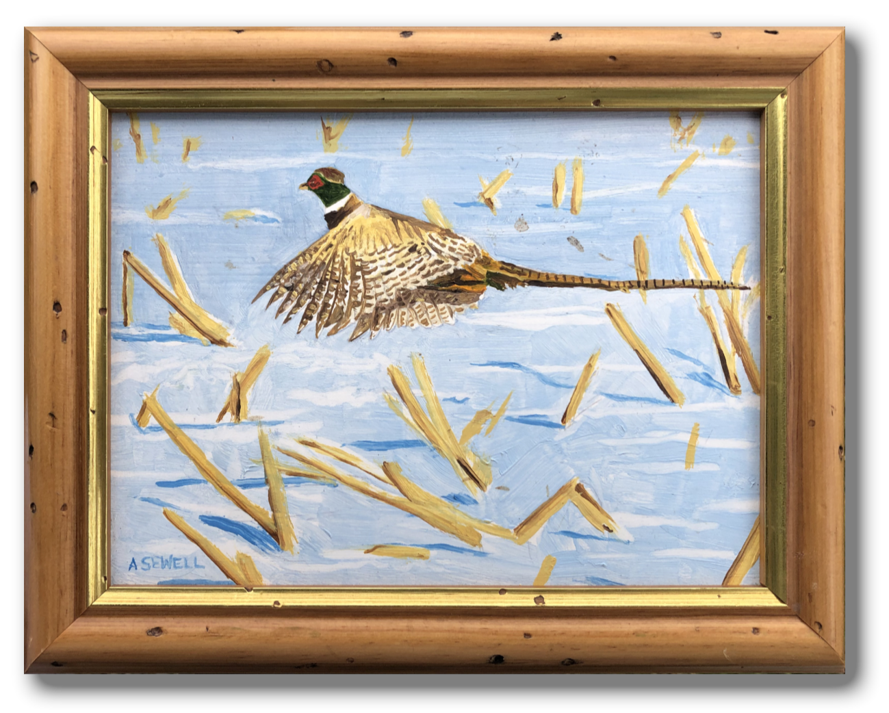 "Winter Pheasant" - A 6"x8" Original oil of a pheasant in the winter
